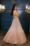 Nude Gold feather Lehenga