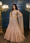 Nude Gold feather Lehenga