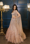Nude Gold feather Lehenga