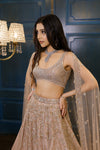 Nude Gold feather Lehenga