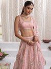 Kamali Pink Lehenga