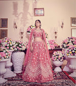 Ruby pink Lehenga