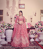 Ruby pink Lehenga