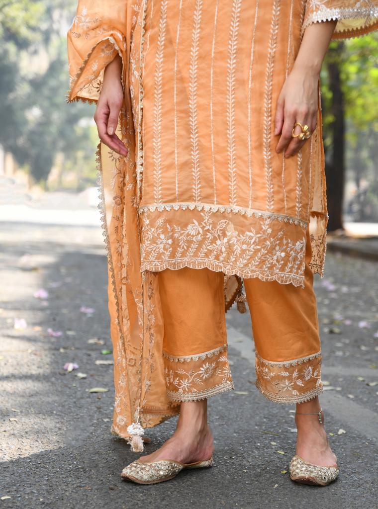 Amrapali Set Orange Dupatta