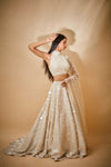 Hand embroidered sequin trail skirt and pearl detail blouse with jaal dupatta