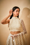 Hand embroidered sequin trail skirt and pearl detail blouse with jaal dupatta