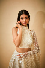 Hand embroidered sequin trail skirt and pearl detail blouse with jaal dupatta