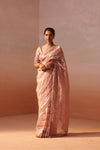 ROSE PINK ORGANZA TISSUE SAREE