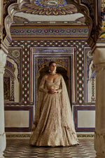 CHAMPAGNE GOLD NET LEHENGA CHOLI AND DUPATTA