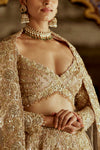 CHAMPAGNE GOLD NET LEHENGA CHOLI AND DUPATTA