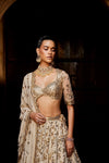 A gold georgette lehenga with georgette dupatta