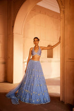 A soft Blue Net Lehenga with net dupatta