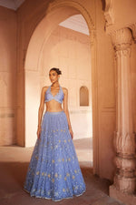 A soft Blue Net Lehenga with net dupatta