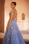 A soft Blue Net Lehenga with net dupatta