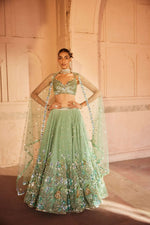 A soft green net lehenga with net dupatta