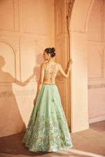 A soft green net lehenga with net dupatta