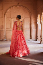 A Coral pink saree