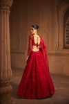 Perfect Red Pure Organza Lehenga