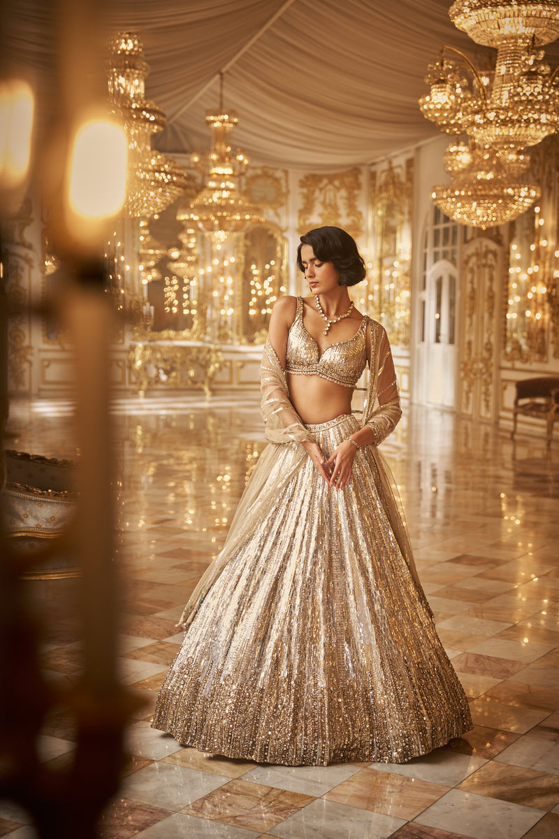 Silver Gold Crystal Lehenga Set