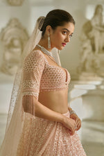 Powder Pink Sequin Lehenga Set by Seema Gujral - Lotus Bloom Canada