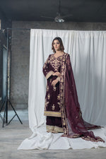 Velvet Suit Set Adorned With Zari And Appliqué Work And Paired With Organza Dupatta