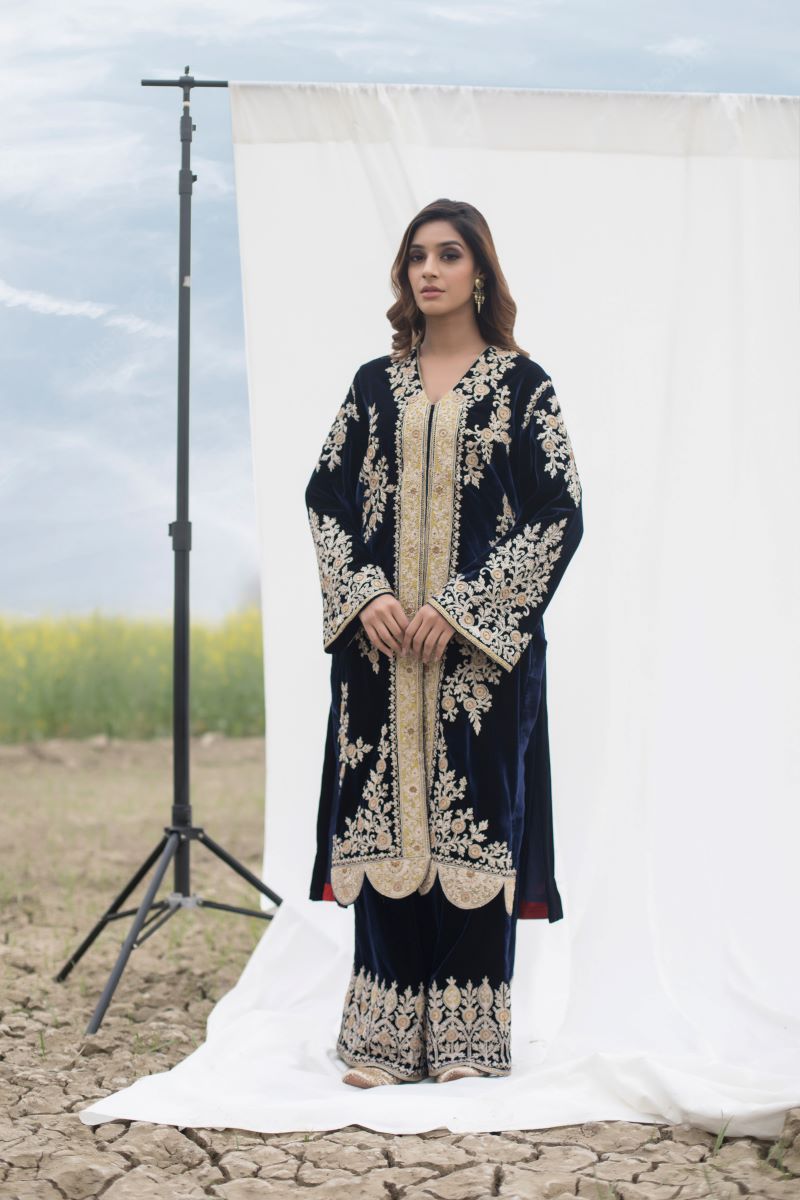 Velvet Suit Set Adorned With Zari And Appliqué Work And Paired With Organza Dupatta