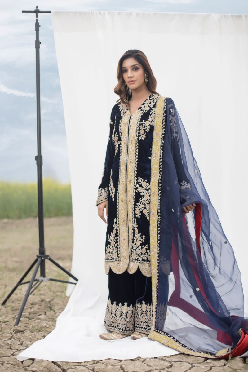 Velvet Suit Set Adorned With Zari And Appliqué Work And Paired With Organza Dupatta