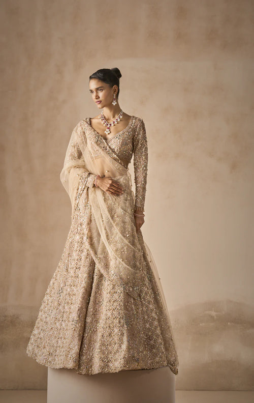 Beige Nude Tulle Lehenga Set