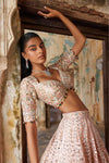 PEACH NET SELF AND MULTI COLOUR EMBROIDERED LEHENGA SET