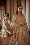 DUSKY ROSE MIRROR LEHENGA SET