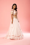 Basby pink organza lehenga set