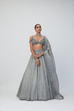 Crystal Grey Sequins Scattered Lehenga Set