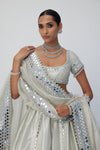 Silver Shimmer Organza Linear Lehenga Set