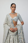 Silver Shimmer Organza  Lehenga Set