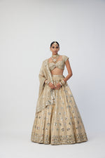 Golden Shimmer Organza Flower Lehenga Set