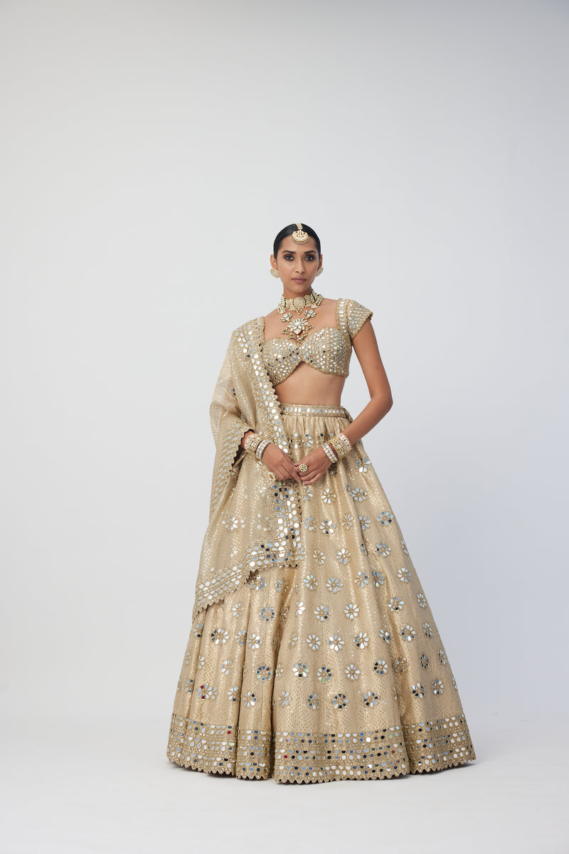 Golden Shimmer Organza Flower Lehenga Set