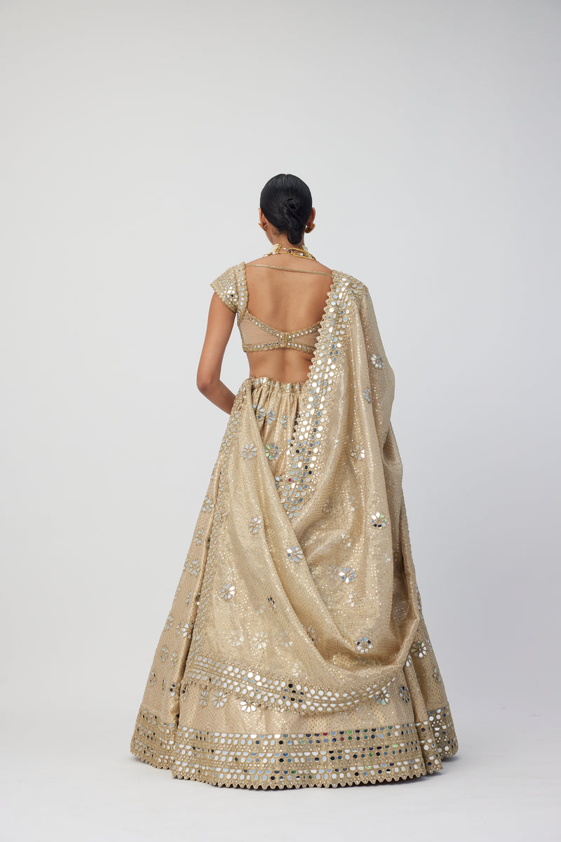 Golden Shimmer Organza Flower Lehenga Set