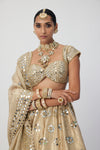 Golden Shimmer Organza Flower Lehenga Set