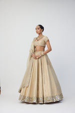 Golden Shimmer Organza Linear Lehenga Set