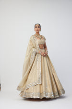 Golden Shimmer Organza Linear Lehenga Set