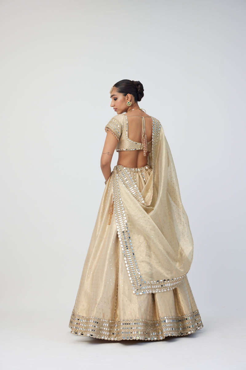 Golden Shimmer Organza Linear Lehenga Set