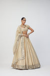 Golden Shimmer Organza Linear Lehenga Set