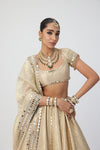 Golden Shimmer Organza Linear Lehenga Set