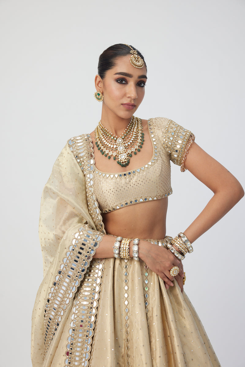 Golden Shimmer Organza Linear Lehenga Set