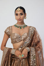 Copper Shimmer Organza Linear Lehenga Set