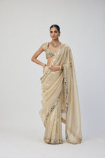 Golden Shimmer Organza saree set