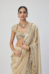 Golden Shimmer Organza saree set