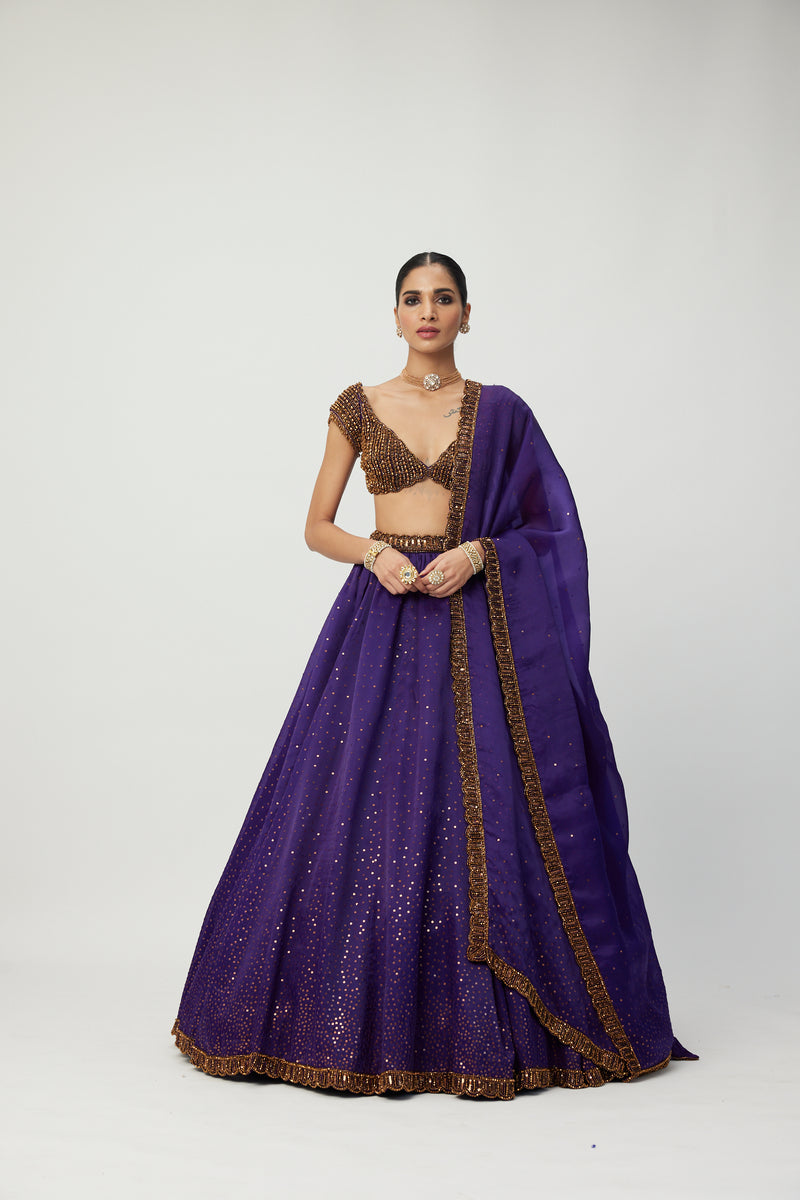 Royalty Purple Sequins Scattered Lehenga Set