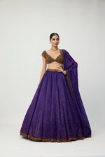 Royalty Purple Sequins Scattered Lehenga Set