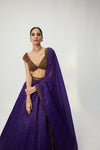 Royalty Purple Sequins Scattered Lehenga Set